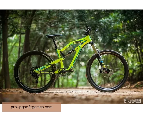 山地车骑行技巧指南：提升技术，畅游山野