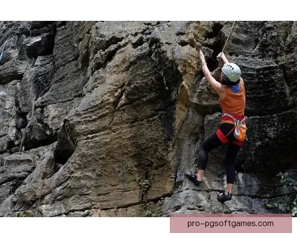攀岩高手争霸：挑战巅峰，荣耀登顶