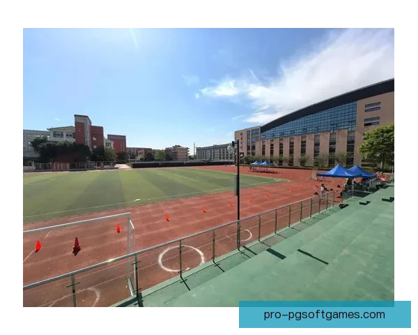 学习提高棒球技巧的秘诀分享