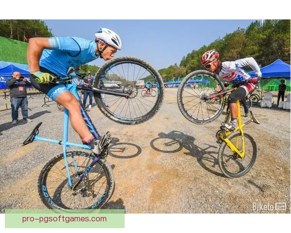 山地车冠军：征战赛场，勇夺荣耀