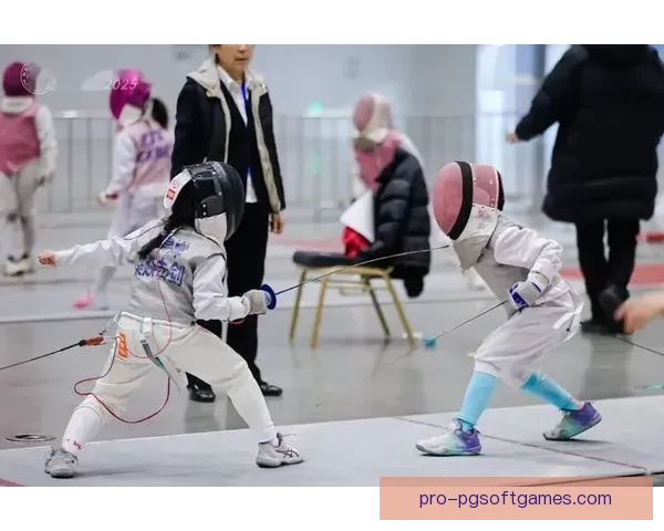 激情对决，剑指辉煌：精彩击剑赛事精彩回放