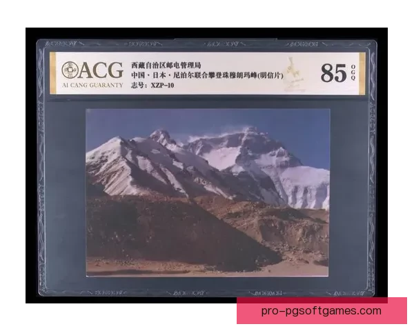 登山赛事：女子选手创造历史，首夺冠军，令人惊叹