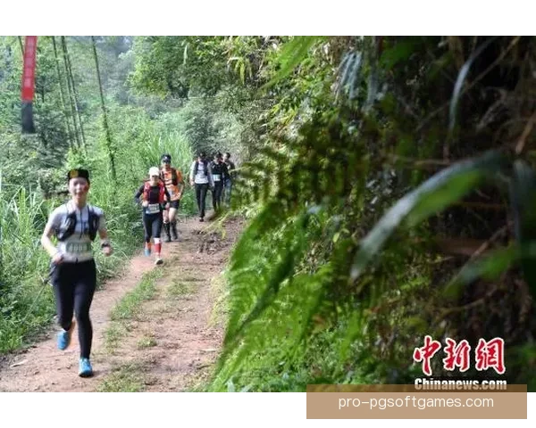 穿越林间山谷,迎接挑战与自然的越野跑赛 穿越林间山谷,迎接挑战与自然的越野跑赛