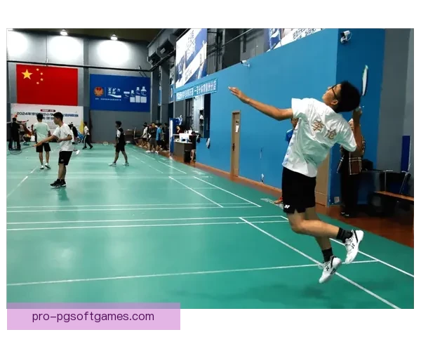 羽毛球赛事精彩回顾：挑战精英，谁能脱颖而出？