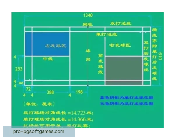 羽毛球比赛规则全解析,技术战术详细介绍,让您成为羽毛球达人 羽毛球比赛规则全解析,技术战术详细介绍,让您成为羽毛球达人