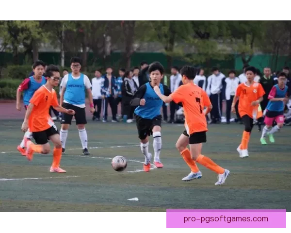 精彩足球场上绽放的瞬间 精彩足球场上绽放的瞬间