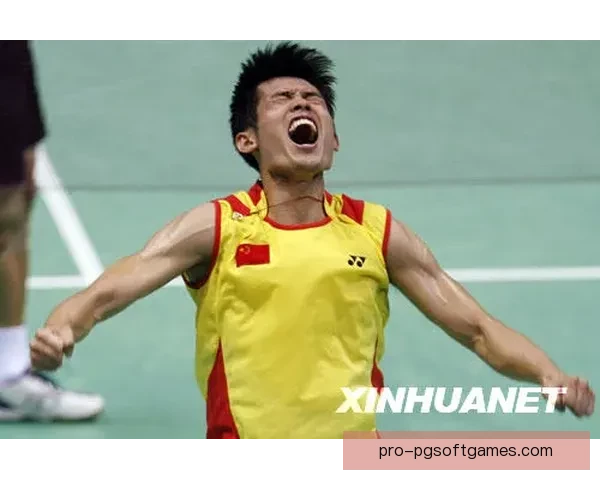 羽毛球世锦赛：中国队夺冠，林丹再战羽坛