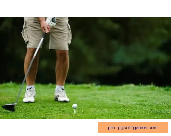 高尔夫规则解析：挑战不确定因素