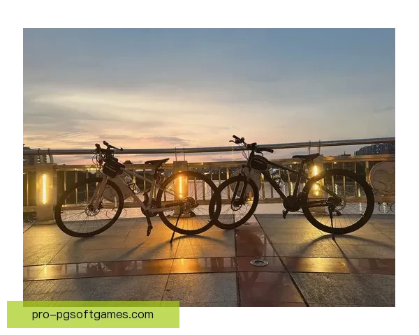 骑行千年：探寻自行车演变的历史足迹